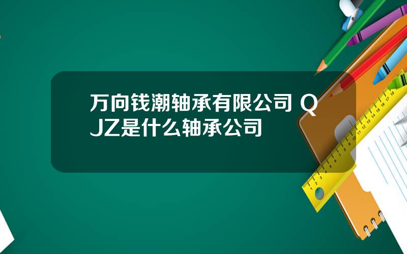 万向钱潮轴承有限公司 QJZ是什么轴承公司